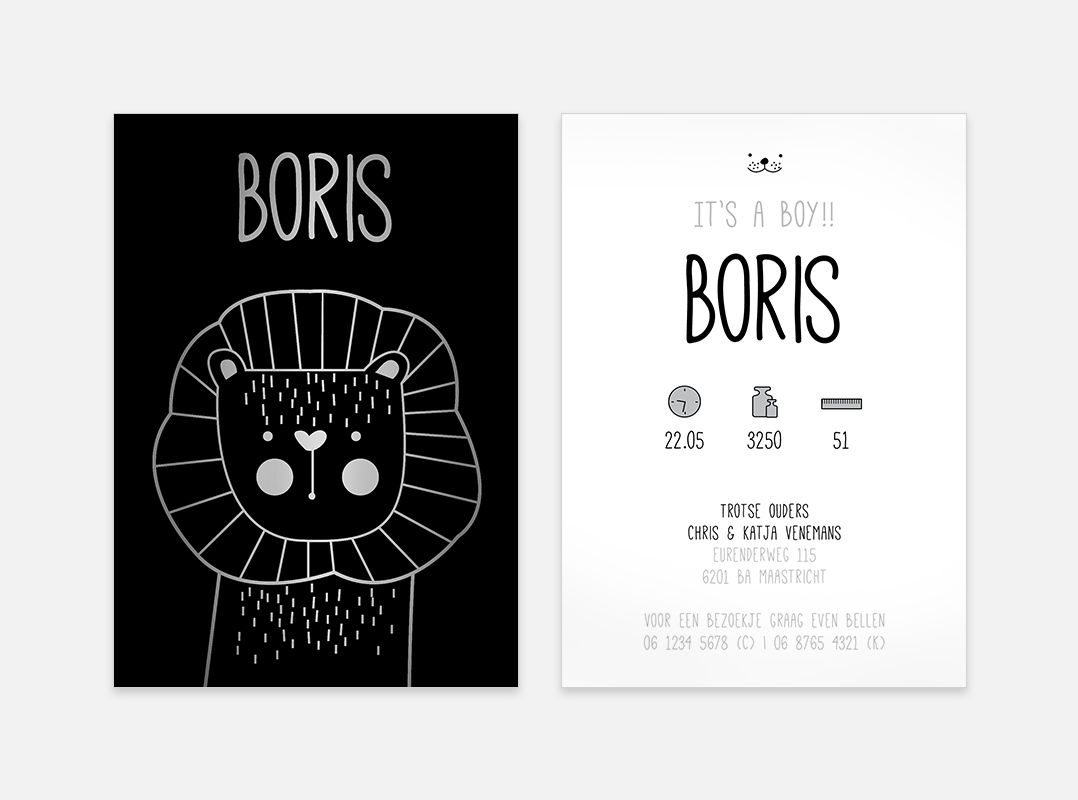Lortye Geboortjekaartje 040a Boris