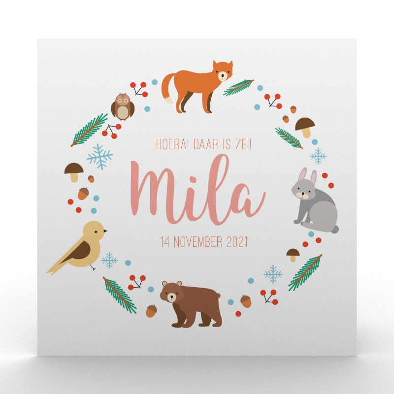 Lortye Geboortjekaartje 049b Mila
